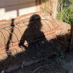 comet’s resurgence