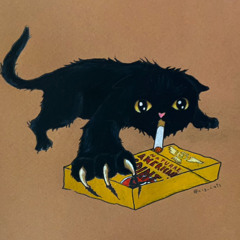 OUTCAST HOUSECAT