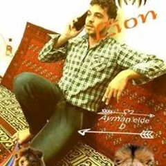 Ayman EL Deeb