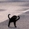 thecursedcat