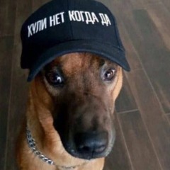 СННХ