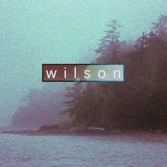 my friend wilson