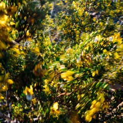 Goodtextures.radio
