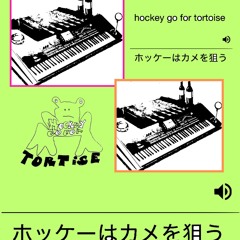 Hockey go for tortise