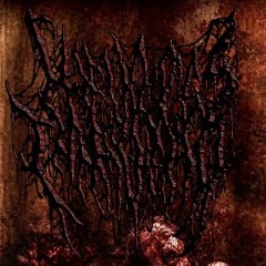 THE VOICES IN MY HEAD