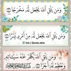 🌸 هـبـة سـعـد 🌸