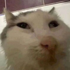 юпи