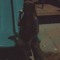 Sany