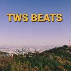 TWS Beats