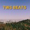 TWS Beats