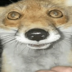 Fuchs carpix