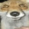 Fuchs carpix
