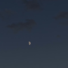 𝘯𝘢𝘵𝘢𝘭𝘪.𝘦