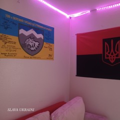 Dr. Wirschॐॐॐ(слава Україні)