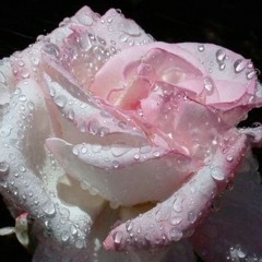 𝒜𝓂𝒶𝓎𝒶 ℒ𝒾𝓃♡︎