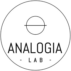 analogialab