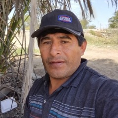 José Mendoza