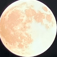 حضرت اِمام