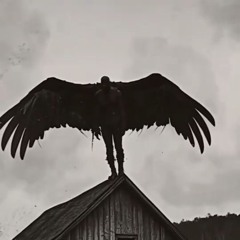 l i n i ş t e _