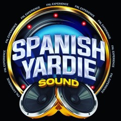 DJ PROTAJAY (SPANISH YARDIE MIXTAPES)