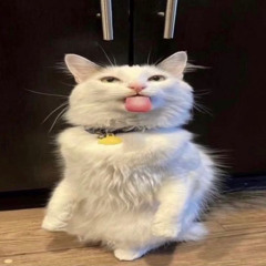 nyctheooo
