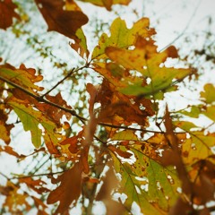 Get After What You Love