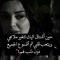 صقر العرب