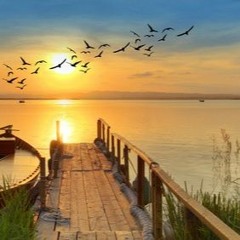 Laurent  MUSIQUE / IMAGE