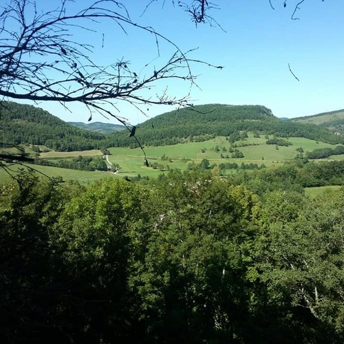 [FREE] Intuition  -Checkça-