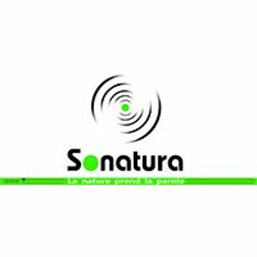 sonatura’s avatar