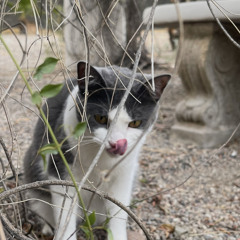 DjDeagleMakesYouDance