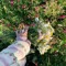 flower 🤍وَهـج