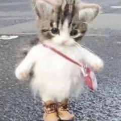 Zeehatesyou