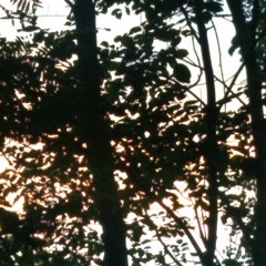 اُمِّ اِبتِہاج❤️❤️❤️❤️❤️My love, My lifeline