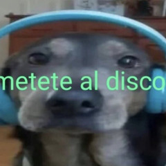 𝘴𝘢𝘨𝘢 ꨄ︎