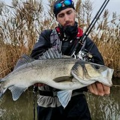 Madonna-girl gone wild (avicii remix ) -forne the dj