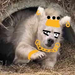 청돌이