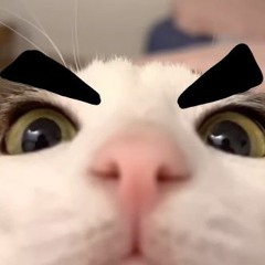 AkJackHd