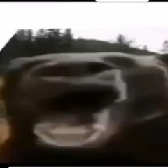 Bagvent