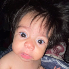 monkey boy