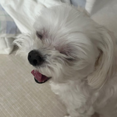 서연