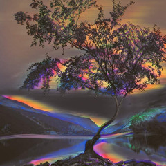 Adrian Dimitrie Albu