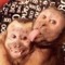 Two_monkey