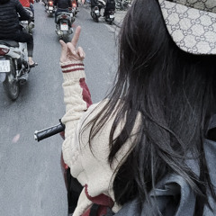 Vu Linh Anh