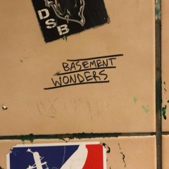 Basement Wonders