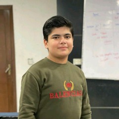 Salik Malik