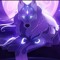 Shadow English 2nd account
