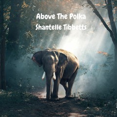 Shantelle Tibbetts