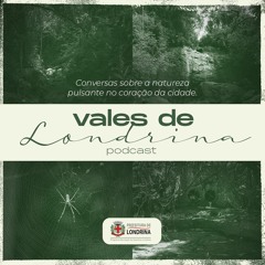 Podcast Vales de Londrina