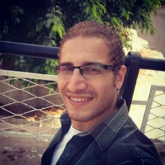 Waleed Gamal